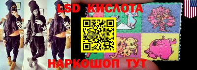 ПСИЛОЦИБИНОВЫЕ ГРИБЫ Ефремов